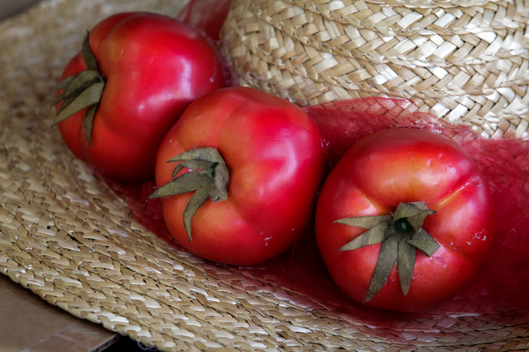NO.tomatofest.060919.736.jpg